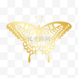 金色镂空线稿亮光蝴蝶
