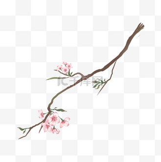 手绘粉色樱花树枝企业vip免费下载免抠元素水彩粉色樱花树枝个人vip和