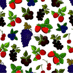 浆果和水果的无缝背景。