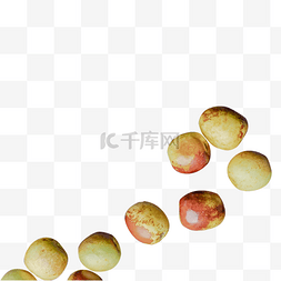 秋天水果浆果白昼鲜枣子