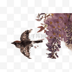 紫藤花下的麻雀