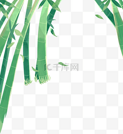 绿色植物竹林