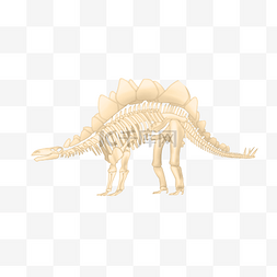 恐龙骨架