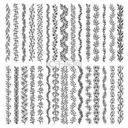 垂直的花卉边框和分隔框花卉装饰