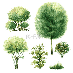 卡通灌木丛图片_一套绿树和灌木丛.