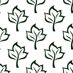 绿色发展图片_无缝图案搭配风格化的绿色轮廓枫
