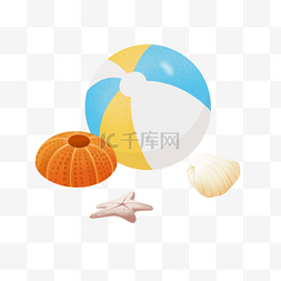 沙滩球海螺海星矢量图