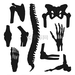 人体骨骼疼痛图片_人体连接和骨骼图标、解剖学和骨