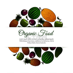 绿色食物背景图片_有机食品水果横幅。