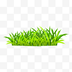 小绿草图片_绿色草地草丛