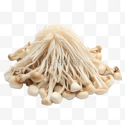 手绘菌菇图片_卡通手绘蔬菜菌菇金针菇