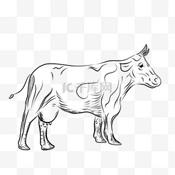 奶牛标签图片_一头母牛的矢量复古插画