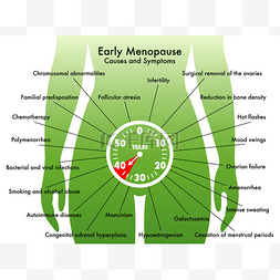 卵巢卡通图片_女性更年期提前