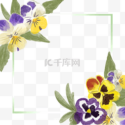 夏季植物背景图片_三色堇花卉水彩唯美边框