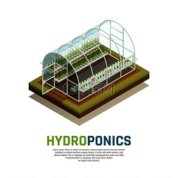 农业绿色图片_温室水培等距构图温室温室温室的