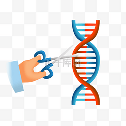 研究DNA生物背景图片_基因编辑人体生物学