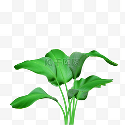 绿色植物叶片图片_3D立体绿色植物