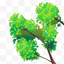 绿色树叶树木
