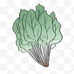 卡通一堆蔬菜图片_一堆菠菜叶子剪贴画