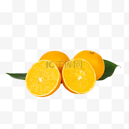 新鲜水果橙子鲜橙