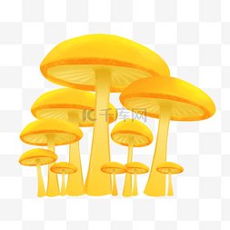 秋天食物黄色蘑菇菌菇植物