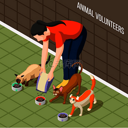 志愿者的背景图片_女孩在喂猫期间做志愿者，在碗里