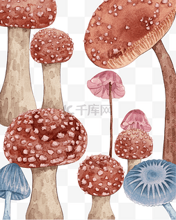 水彩少女蘑菇菌类设计卡通手绘