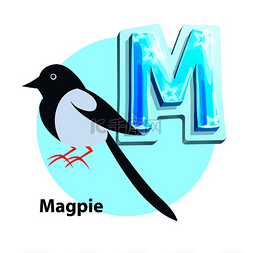 英文m图片_喜鹊黑白相间的小鸟以英文字母表