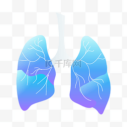 医疗人体科技图片_科技器官肺部