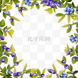 绿色树叶圆形边框图片_水彩蓝莓圆形边框