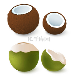营养的饮食卡通图图片_开放的棕色和绿色的椰子。异国情