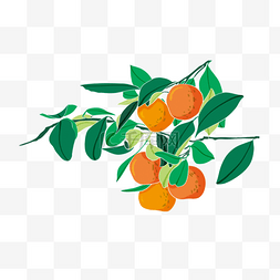 树上结出的美味水果插图