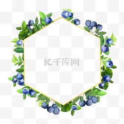 水彩水果蓝莓六边形边框