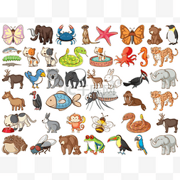 许多动物的图片图片_有许多种类的动物和昆虫的大型野