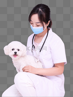 宠物医生与小狗
