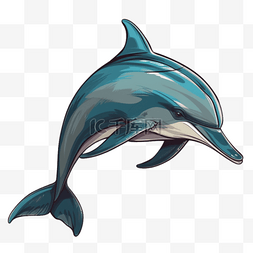 扁平插画手绘海豚