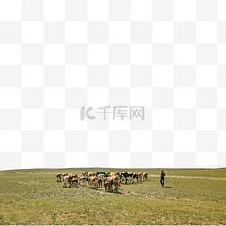 内蒙古草原秋季马匹草原秋季