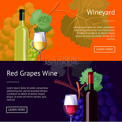 葡萄酒庄图片_酒庄和红葡萄葡萄酒互联网横幅设