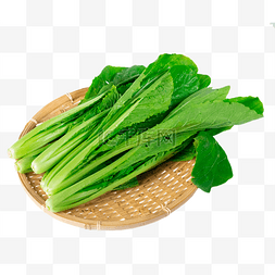 绿色白图片_绿色有机蔬菜小白菜