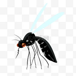 黑色蚊子蚊虫