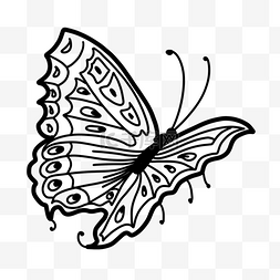 可爱花纹黑白线条蝴蝶