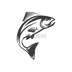 湖泊渔业图片_瓦胡鱼水下动物渔业吉祥物孤立的