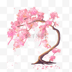 花瓣零落图片_花瓣桃树桃花