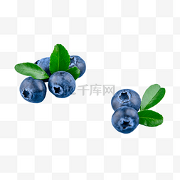 天然食品蓝色蓝莓