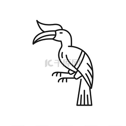 热带雨林鹦鹉图片_图坎鸟类线条艺术画热带鸟类与巨