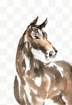 水墨棕色图片_英俊的马水墨动物