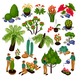 花卉矢量图图片_等距植物园温室设置与各种植物树