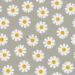 白色的纹理图片图片_雏菊无缝图案雏菊无缝图案具有洋