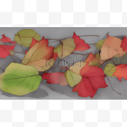黄叶植物图片_秋季的树叶