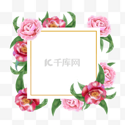 红色玫瑰背景图片_山茶花水彩花卉正方形边框